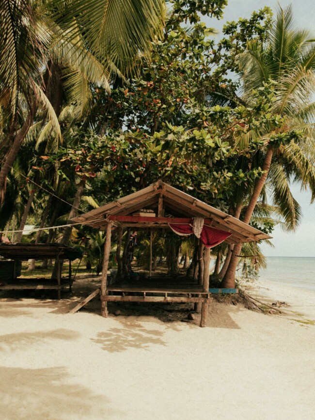 A cottage under palm trees.
